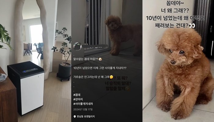 이씨가 샤이니 키 집에서 찍은 것으로 추정되는 사진과 영상.