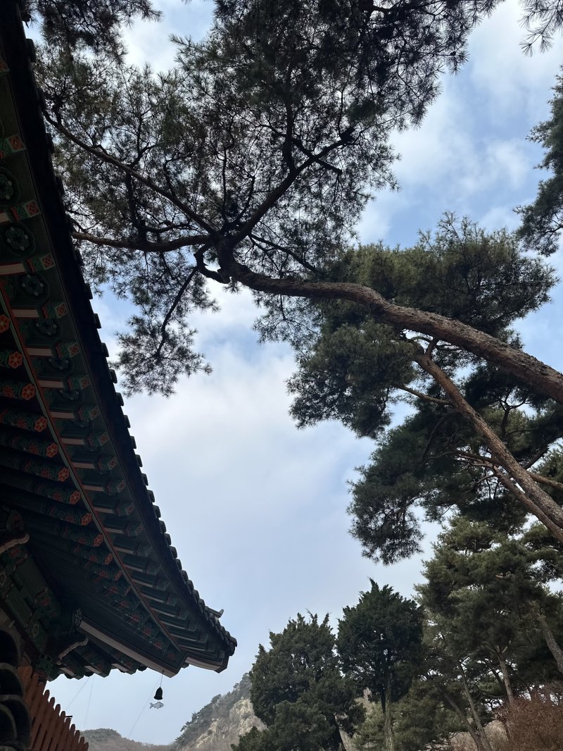 10일 경기 양주 회암사 경내에서 본 풍경. 2025.12.10/뉴스1 ⓒ News1 이상휼 기자