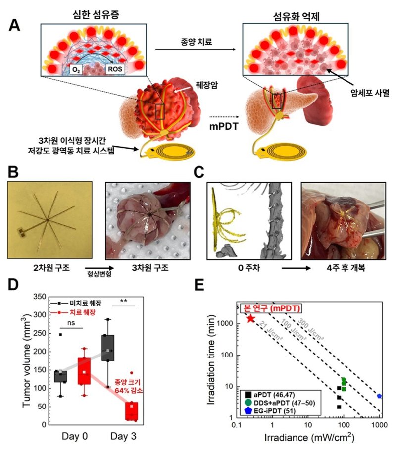 3차원 장시간 저강도 광역동치료 시스템 개요(KAIST 제공) /뉴스1