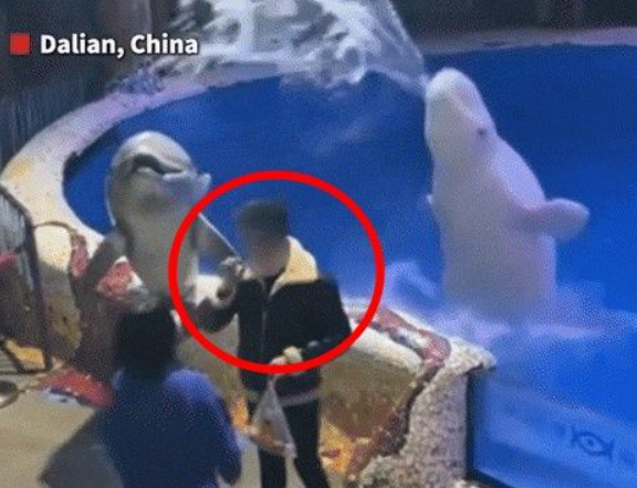 직원 제지 무시하고 실내 흡연하던 남성, 벨루가가 뒤에서... 반전