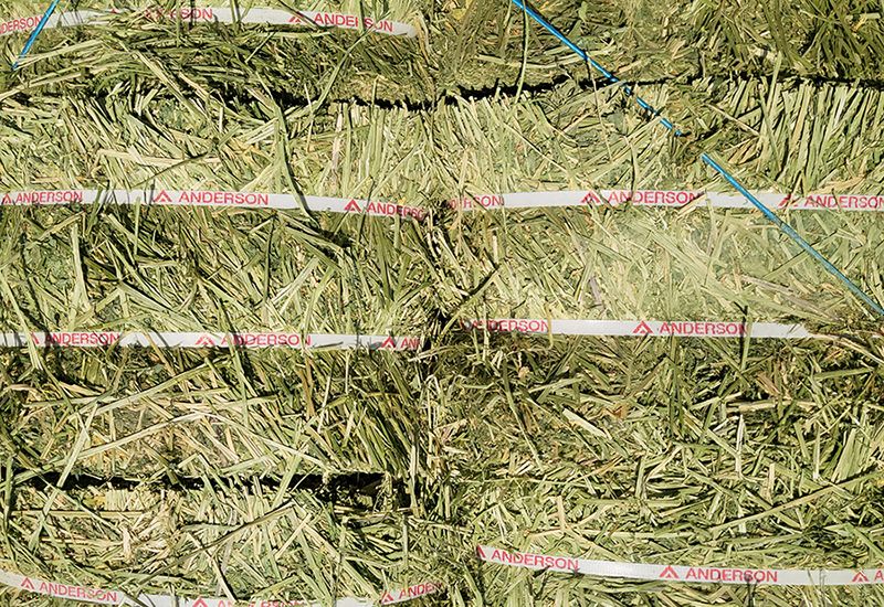 STX가 트롤리고를 통해 국내에 유통하는 조사료. STX 제공