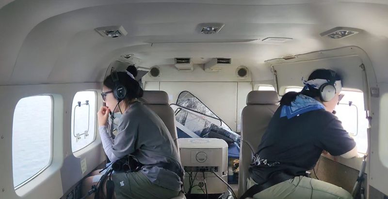 해양포유류 항공 목시조사 모습. 국립수산과학원 제공