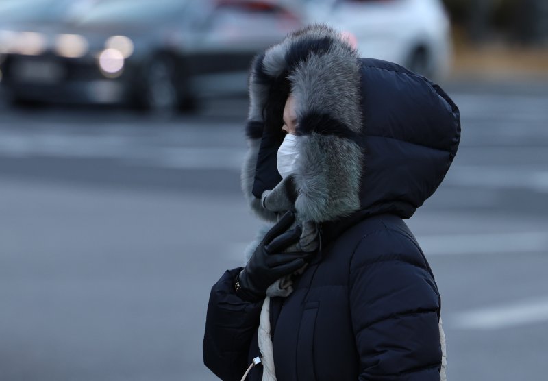 충남 일부 지역에 한파주의보가 발효되며 강추위가 예고됐다. /뉴스1 ⓒ News1 구윤성 기자
