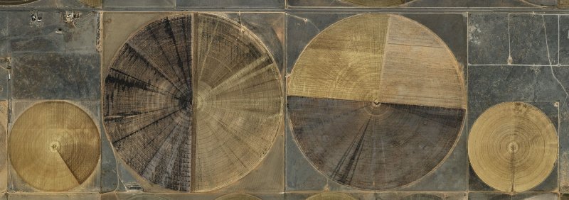 에드워드 버틴스키의 회고전 '버틴스키: 추출/추상'