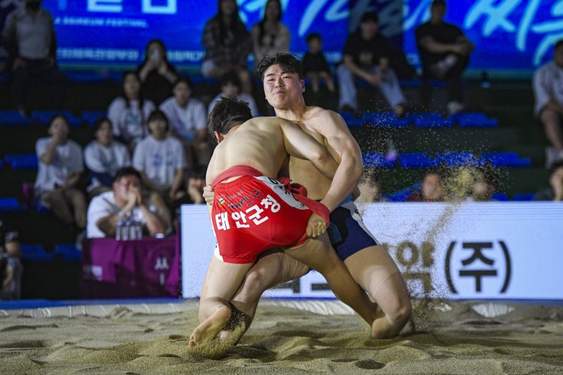 [문경=뉴시스] '2025 단오장사 씨름대회' 경기 장면 (사진=문경시 제공) 2025.12.11. photo@newsis.com *재판매 및 DB 금지