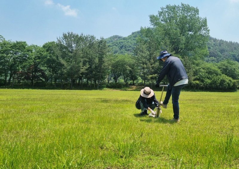 (사진은 기사 내용과 무관함) / 뉴스1 ⓒ News1