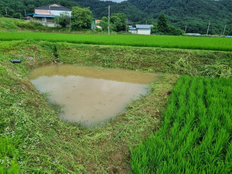 충남 보령 소양마을에서 논 생태환경 보전을 위해 조성한 둠벙. ⓒ News1