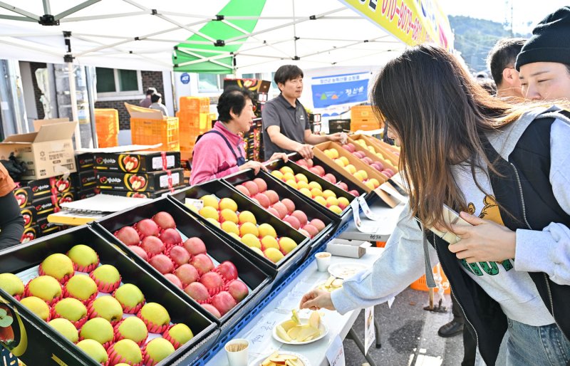 지난해 개최된 정선사과축제 모습.(사진=정선군 제공) *재판매 및 DB 금지