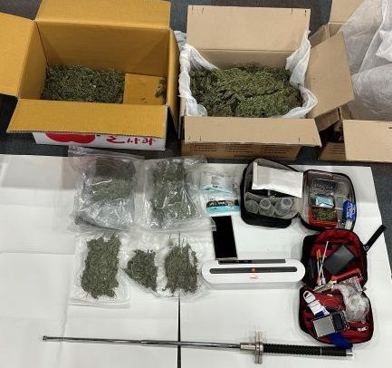 경찰은 B씨로부터 판매 목적으로 보관중이던 대마 1.7㎏를 압수했다. 서울경찰청 제공