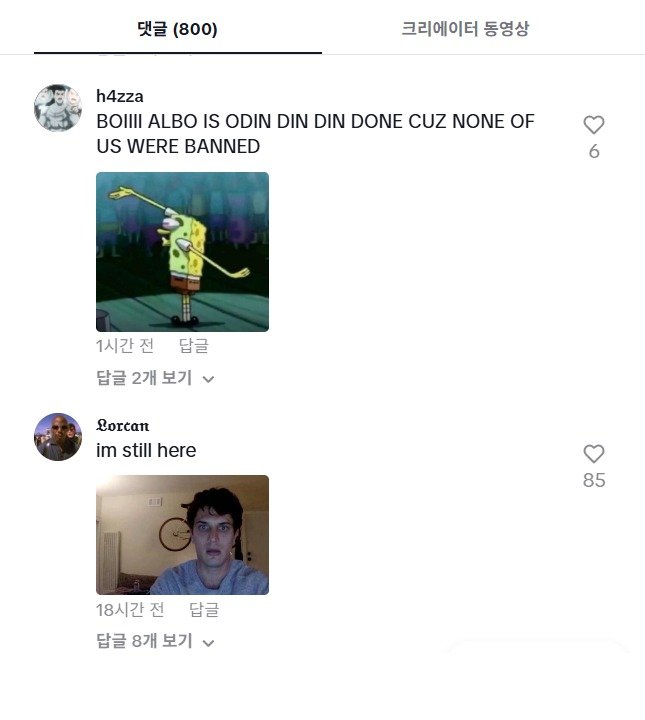 앤서니 앨버니지 호주 총리의 SNS에 "우리 중 아무도 차단 안 당했다"는 내용으로 달린 댓글 (출처=앤서니 앨버니지 호주 총리 틱톡 계정)