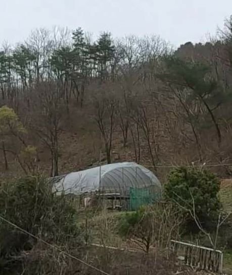 서울경찰청 제공