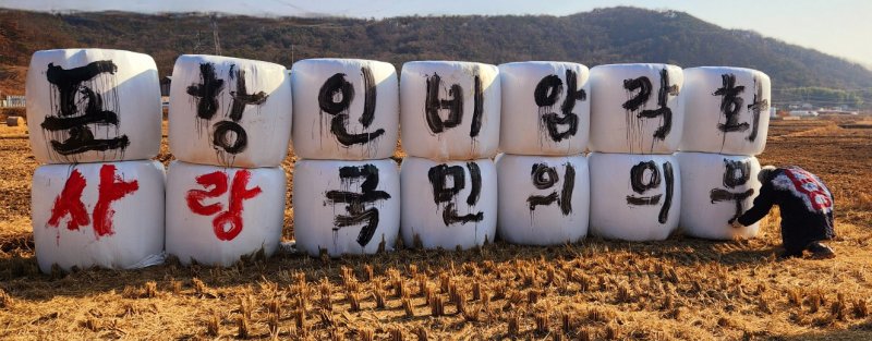 '독도 서예가' 김동욱 씨가 11일 경북 포항시 북구 기계면 들녘에 있는 곤포사일리에 '포항 인비리 암각화 공원'을 알리는 글을 썼다. (김동욱 씨 제공, 재판매 및 DB금지) 2025.12.11/뉴스1