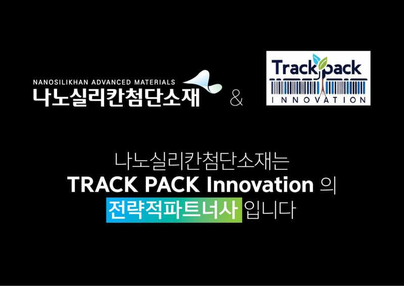 나노실리칸첨단소재 CI