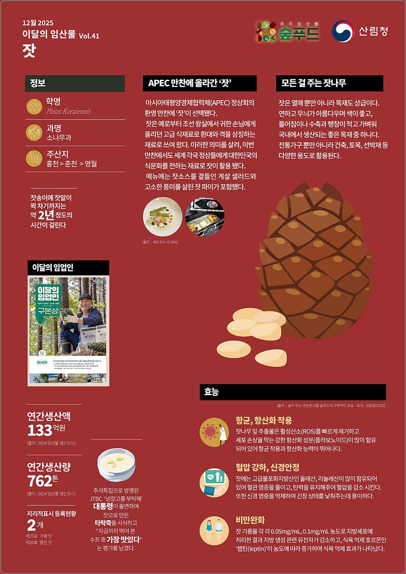 [대전=뉴시스] 12월 이달의 임산물로 잣이 선정됐다.(사진=산림청 제공) *재판매 및 DB 금지