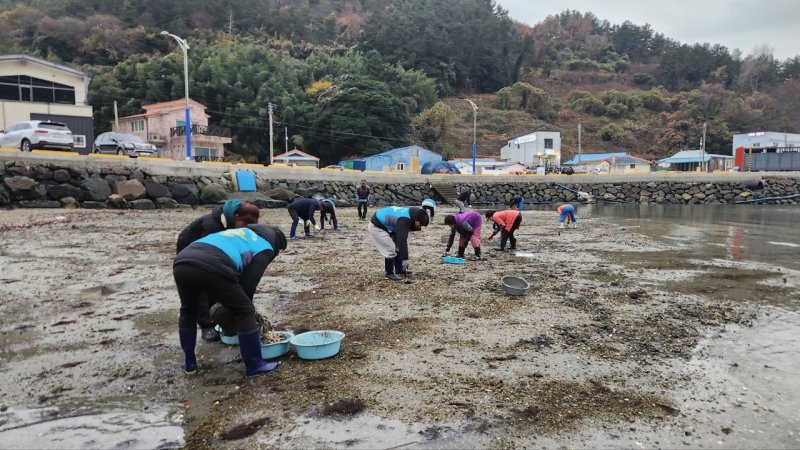 (출처=뉴시스/NEWSIS)