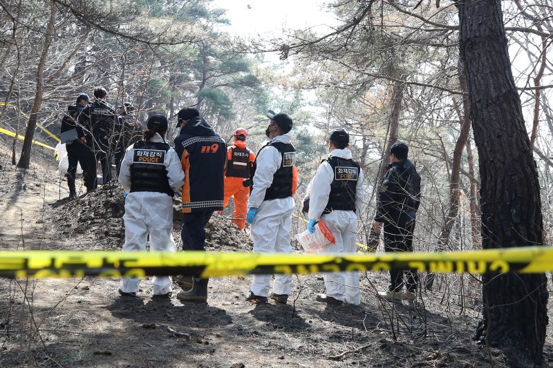 31일 오전 경북 의성군 안평면 괴산리 산불 발생 현장에서 국립과학수사연구원·소방·경찰 관계자들이 합동감식을 벌이고 있다. 2025.3.31/뉴스1 ⓒ News1 공정식 기자