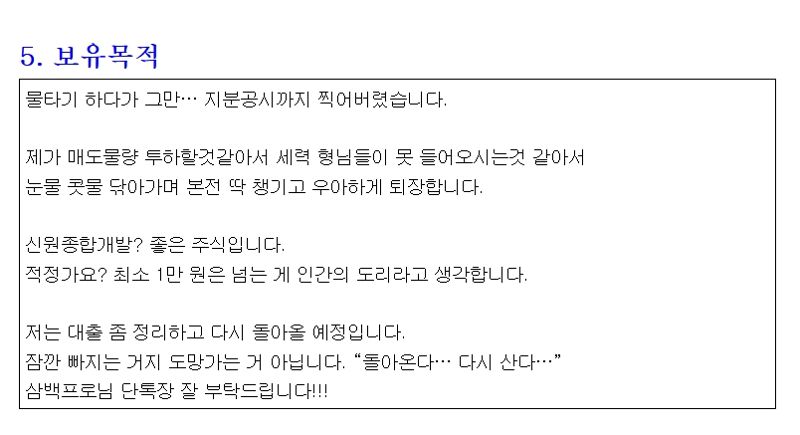 신원종합개발 '주식 등의 대량보유 상황 보고서' 공시 내용 중 일부 /사진=금융감독원 전자공시시스템