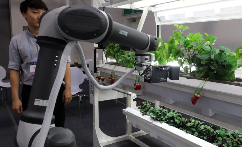 [서울=뉴시스] 김혜진 기자 = 10일 서울 서초구 aT센터에서 열린 2025 농림축산식품 과학기술대전에서 관계자가 딸기 수확 로봇에 대해 설명하고 있다. 2025.12.10. jini@newsis.com