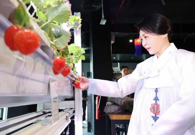 [아부다비=뉴시스] 최동준 기자 = 김혜경 여사가 19일(현지 시간) 아부다비 주UAE한국문화원에서 열린 할랄 K-푸드 홍보행사에서 스마트팜 장비로 재배한 딸기를 살펴보고 있다. 2025.11.19. photocdj@newsis.com