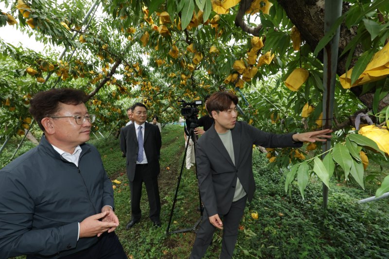 [세종=뉴시스]이승돈 농촌진흥청장이 18일 경북 영천시 대창면에 있는 복숭아 농장을 방문해 농장을 살펴보고 있다. (사진=농진청 제공) *재판매 및 DB 금지