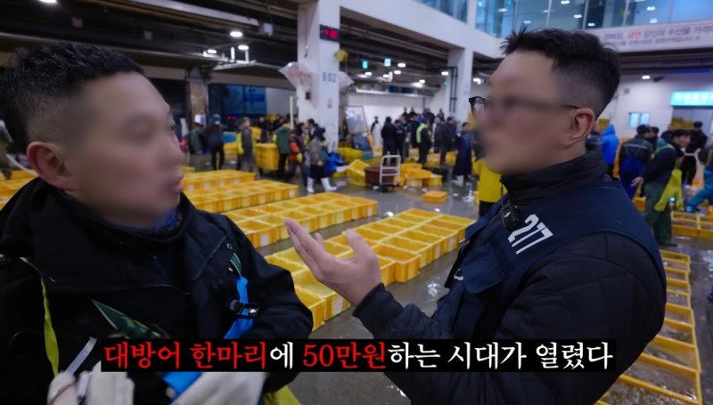 [뉴시스] 노량진수산시장 중매인 유튜버 '방씨'가 방어 가격이 한 마리당 도매가 5만원에 육박하는 등 '방어 대란'이 일고 있는 노량진수산시장 경매 현장을 공개했다. (사진 = '방해물' 유튜브 갈무리) 2025.12.11. *재판매 및 DB 금지