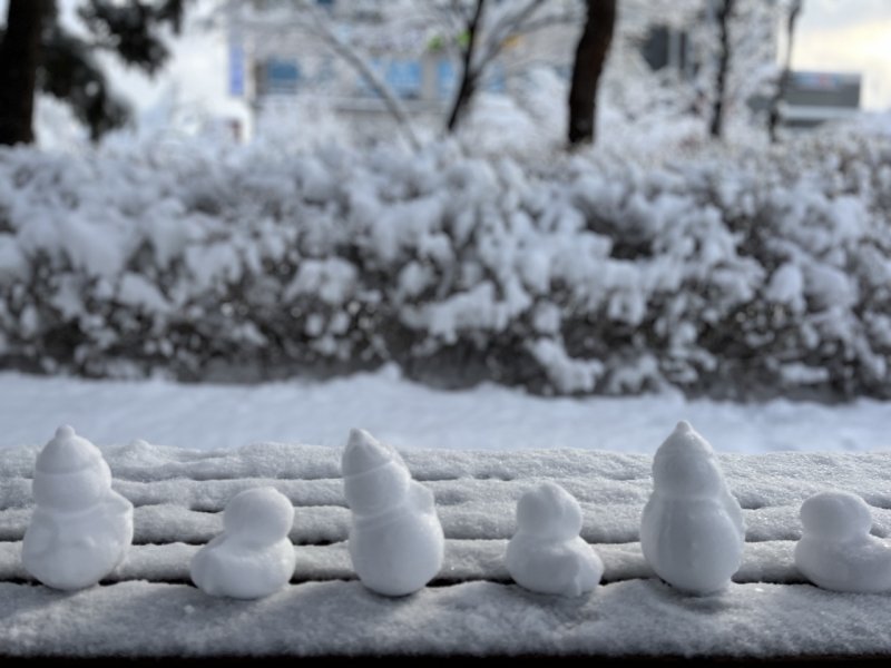 강릉 찾아온 눈사람.(뉴스1 DB)ⓒ News1 윤왕근 기자