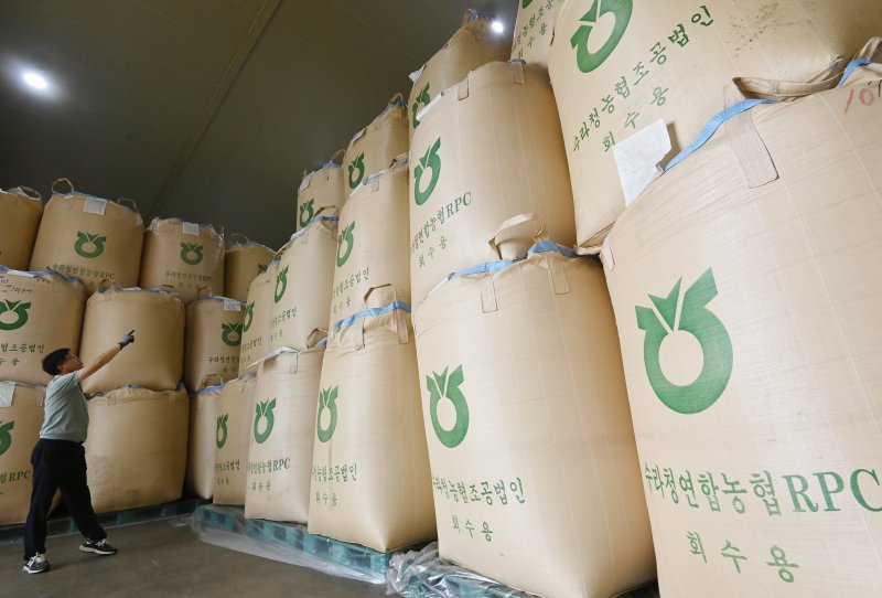 [화성=뉴시스] 김종택 기자 = 사진은 지난 8월 4일 경기 화성시 남양읍 수라청농협쌀조공법인 저온창고에서 관계자가 보관중인 쌀을 살펴보고 있는 모습. 2025.08.04. jtk@newsis.com