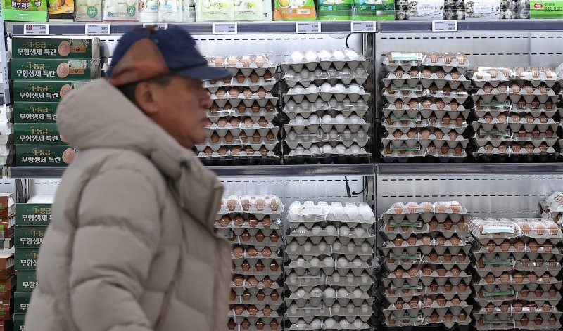 서울 시내 한 대형마트에 달걀이 진열돼 있다. 2025.12.9/뉴스1 ⓒ News1 김성진 기자