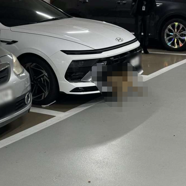 /사진=온라인 커뮤니티 보배드림 갈무리