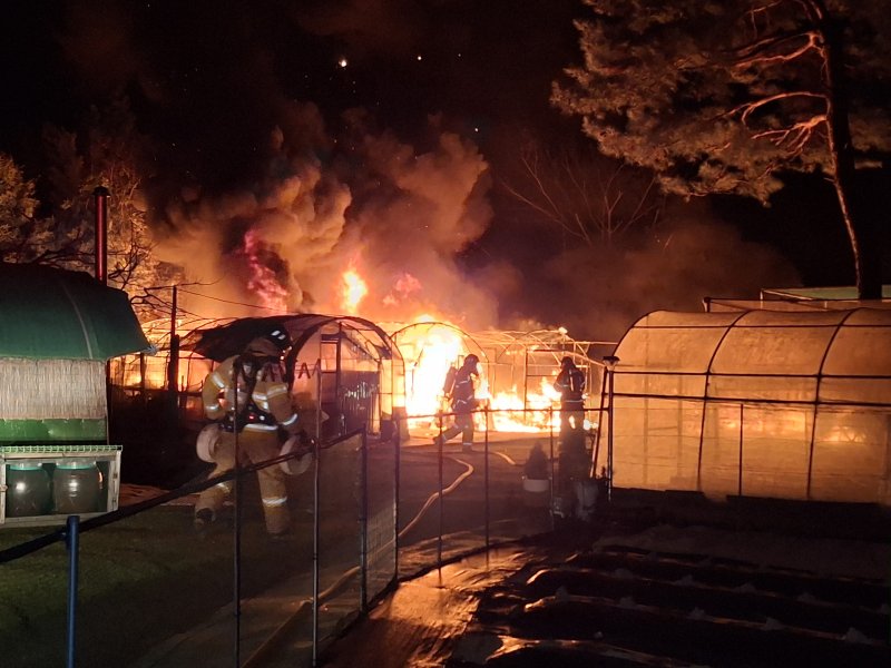 11일 오후 6시 12분쯤 경북 경주시 효현동 비닐하우스에서 불이 나 소방 당국이 진화하고 있다.(경북소방본부 제공.재판매 및 DB 금지)2025.12.12/뉴스1