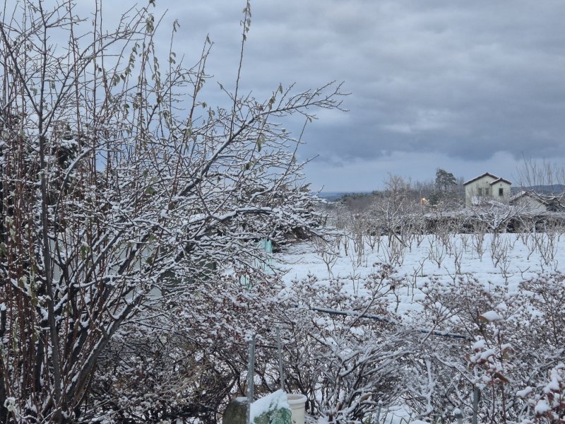 강원 동해안과 산지를 중심으로 많은 눈이 내린 12일 강릉시 구정면의 한 농가에 눈이 내려앉아 있다.2025.12.12/뉴스1 윤왕근 기자