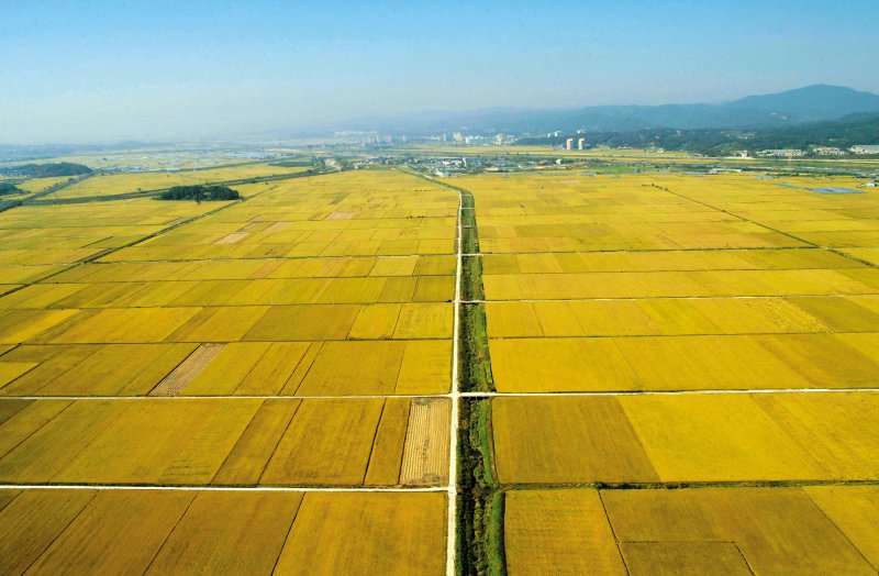 청주 지역 농경지./뉴스1