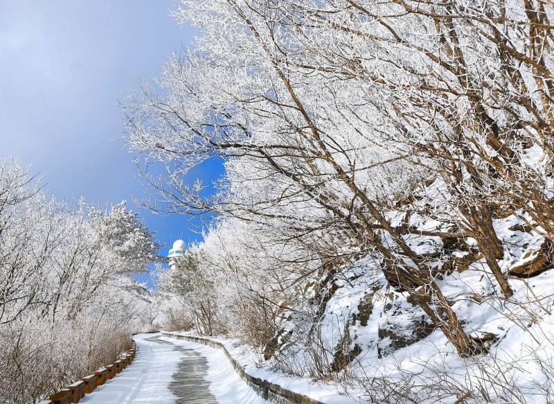 소백산의 상고대.(단양군 제공. 재판매 및 DB금지) /뉴스1