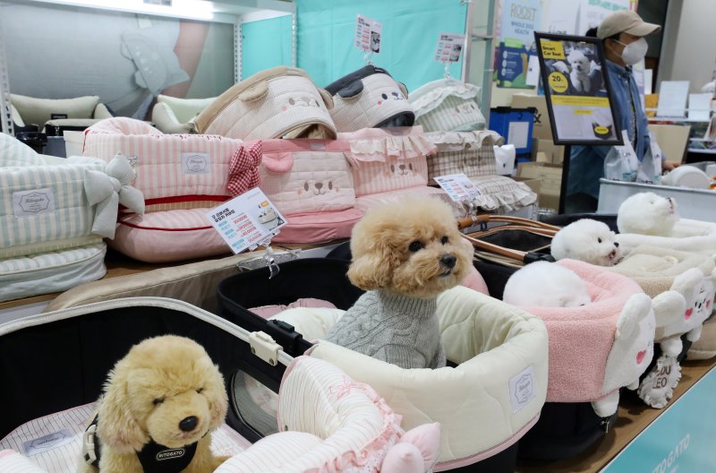 [서울=뉴시스] 김혜진 기자 = 12일 서울 강남구 세텍(SETEC)에서 열린 크리스마스 서울 펫쇼에서 관람객들이 반려견과 함께 전시장을 둘러보고 있다. 2025.12.12. jini@newsis.com