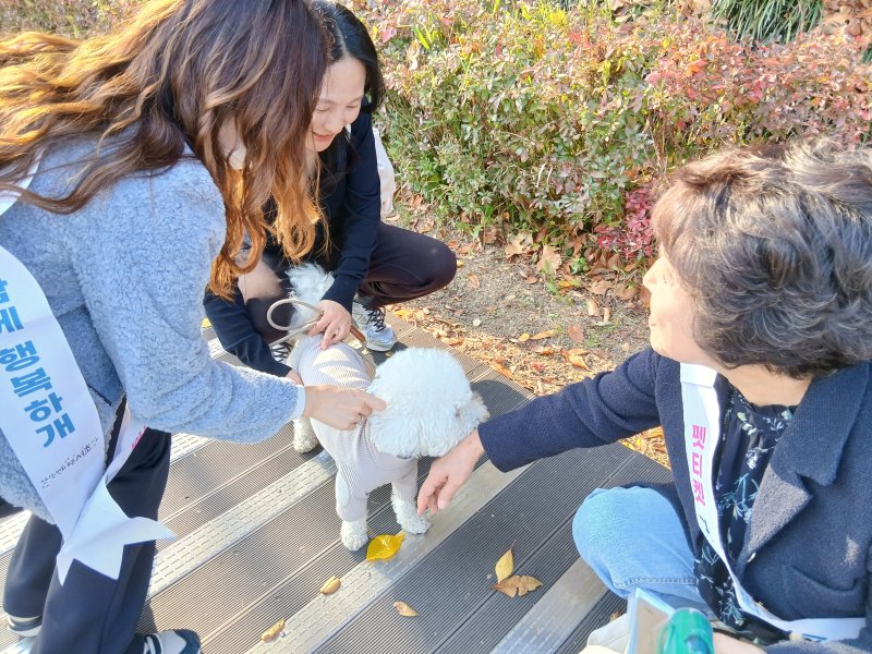 (서울 서초구 제공)