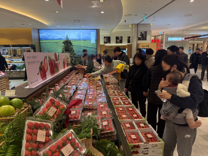 현대백화점 충청점 청원생명딸기 판촉행사.(청주시 제공)/뉴스1