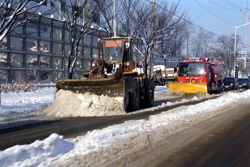 제절 작업(경기 하남시 제공. 재판매 및 DB 금지)/뉴스1