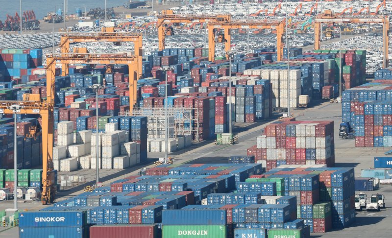 경기 평택시 포승읍 평택항에 수출용 컨테이너들이 쌓여있는 모습. 2025.11.14/뉴스1 ⓒ News1 김영운 기자