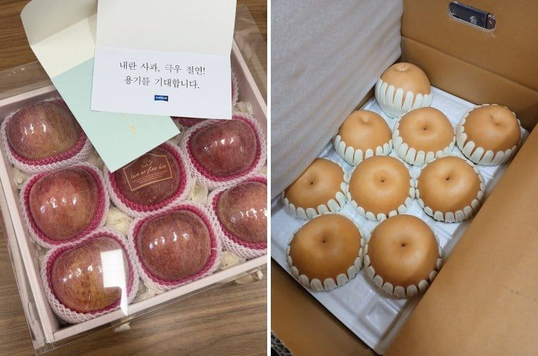 국민의힘 사무처노동조합이 조국혁신당에 12일 보낸 '배 상자'(오른쪽) 사진. 앞서 조국혁신당은 국민의힘에 사과 상자(왼쪽)를 보냈다. 사진=조국혁신당·국민의힘