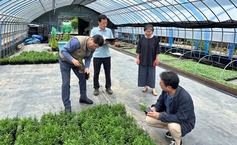 [대전=뉴시스] 한국수목원정원관리원 국립백두대간수목원 관계자가 지역상생 계약재배 대상 농가를 찾아 식물 재배기술을 지도하고 있다.(사진=한수정 제공) *재판매 및 DB 금지