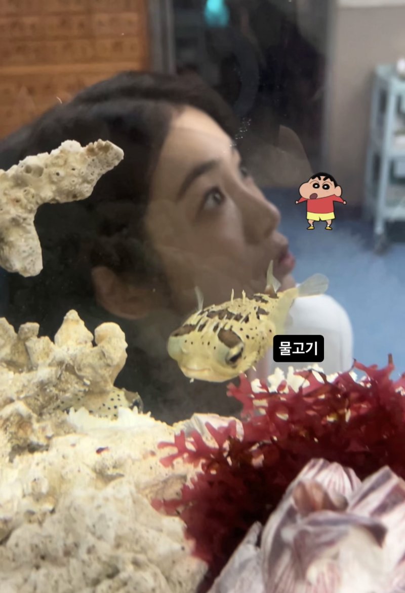 [서울=뉴시스] 배우 신예은. (사진=신예은 인스타그램 캡처) 2025.12.12. photo@newsis.com *재판매 및 DB 금지