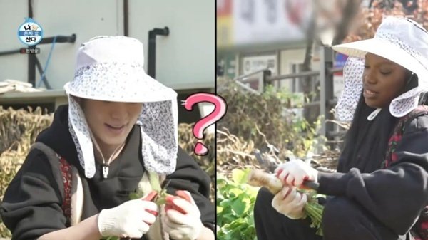 MBC '나 혼자 산다'