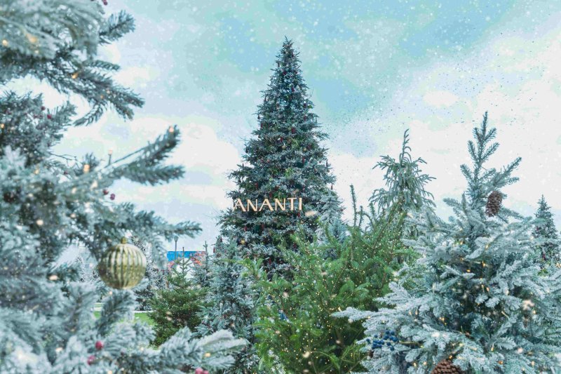 [서울=뉴시스] 빌라쥬 드 아난티 크리스마스 연출.(사진=아난티 제공) *재판매 및 DB 금지