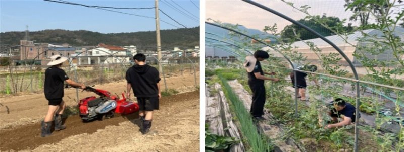 교내 4-H포 경운작업(왼쪽)과 수박 유인작업(전남도교육청 제공, 재판매 및 DB 금지)/뉴스1