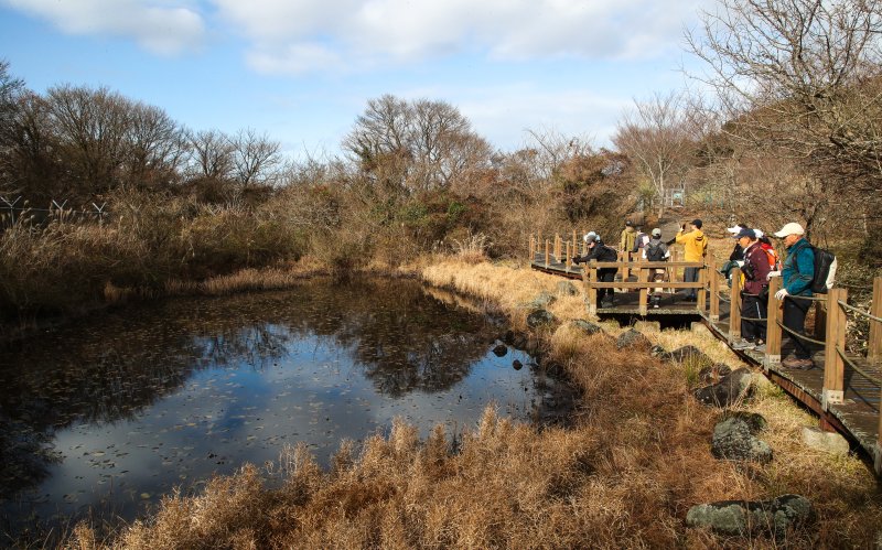 [제주=뉴시스] 우장호 기자 = 13일 오전 제주시 봉개동 민오름과 사려니숲길 일원에서 뉴시스 제주본부 주최·제주트레일워킹협회 주관으로 열린 '제주 트레일워킹 아카데미(Jeju Trail Walking Academy)' 제3회 실전체험 교육이 진행되고 있다. 2025.12.13. woo1223@newsis.com