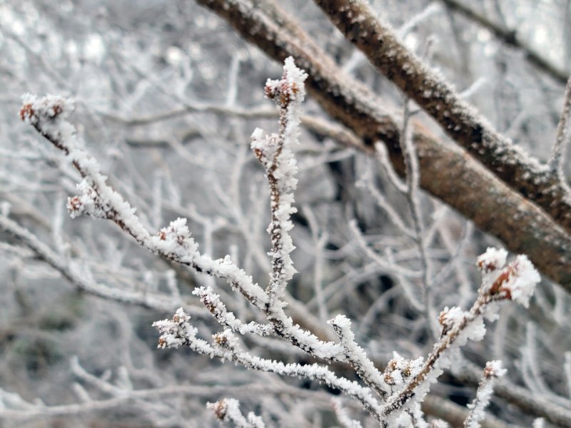 (사진은 기사 내용과 무관함) / 뉴스1 ⓒ News1 이수민 기자