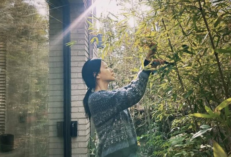 이영애, 정원 가꾸는 일상…광채나는 민낯 [N샷]