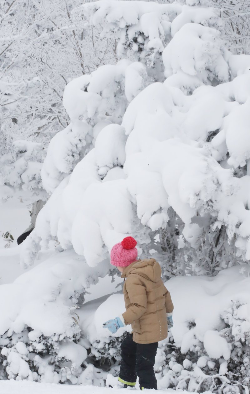 한라산국립공원 1100고지휴게소에서 관광객들이 설경을 감상하고 있다. 2024.1.25/뉴스1 ⓒ News1 오현지 기자