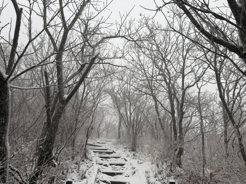 27일 눈이 내린 전북 무주군의 덕유산의 모습.(덕유산국립공원사무소 제공. 재판매 및 DB 금지) 2025.11.27/뉴스1