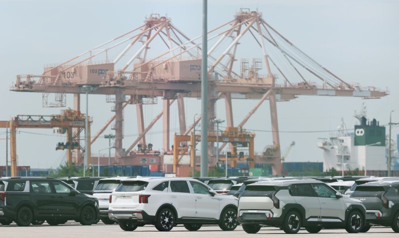 한국산 제품에 대한 '상호관세'를 25%에서 15%로 낮추는 것을 골자로 한 한미 무역 협상이 타결됐다. 사진은 경기 평택시 포승읍 평택항에 수출용 차량이 세워져 있는 모습. 2025.7.31/뉴스1 ⓒ News1 김영운 기자